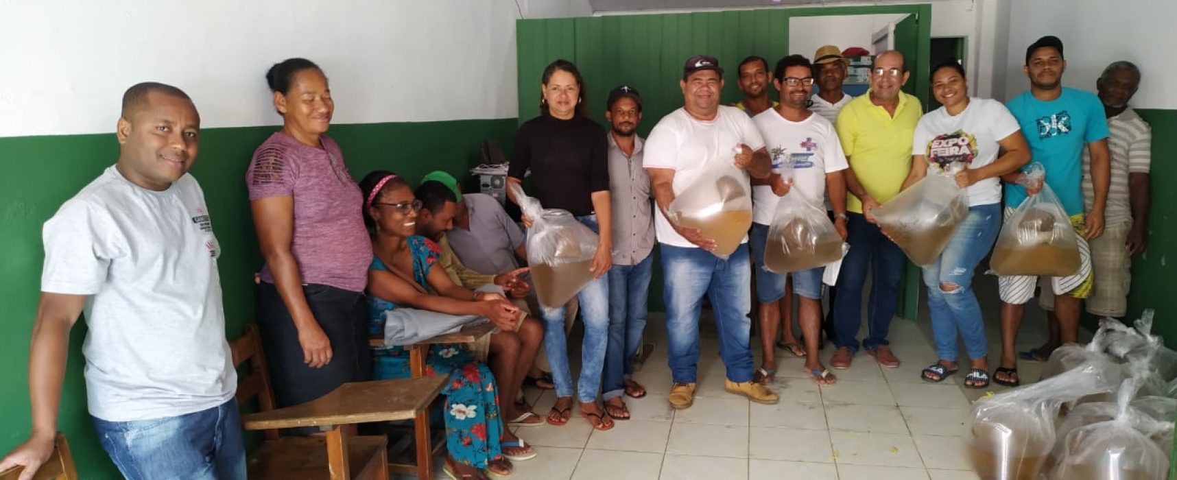 Prefeitura de Itacaré distribui para agricultores 80 mil larvas de camarão