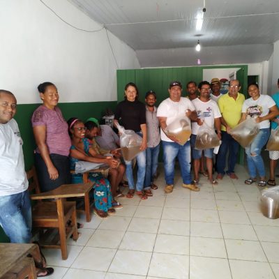 Prefeitura de Itacaré distribui para agricultores 80 mil larvas de camarão