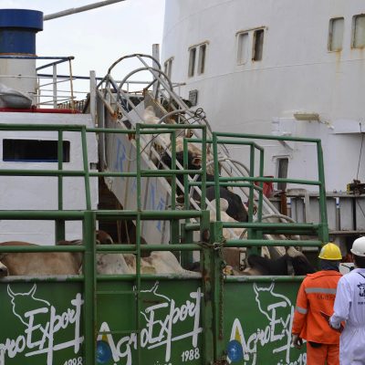 Embarque do Boi Vivo e Parque de Exposições definem agenda dos governos