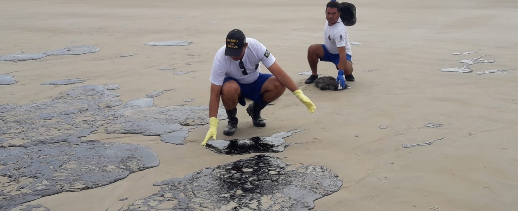 Limpeza das praias de Ilhéus com óleo vazado reúne voluntários