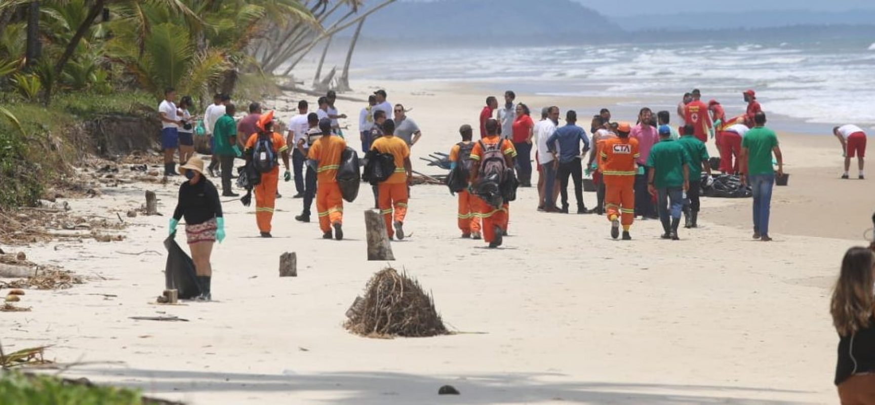 Manchas de óleo atingem praia de Ilhéus, órgãos atuam em situação de emergência