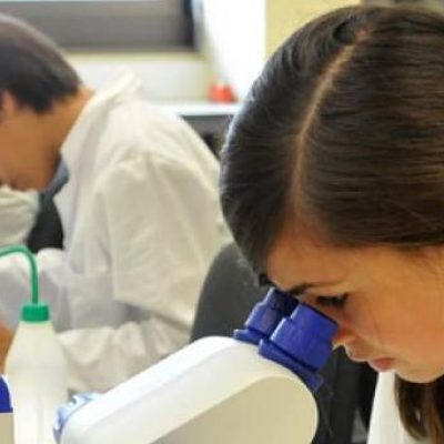 MEC destina maior parte de verba desbloqueada para universidades