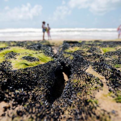 UFRJ aponta que óleo pode ter saído de área a 700 km da costa