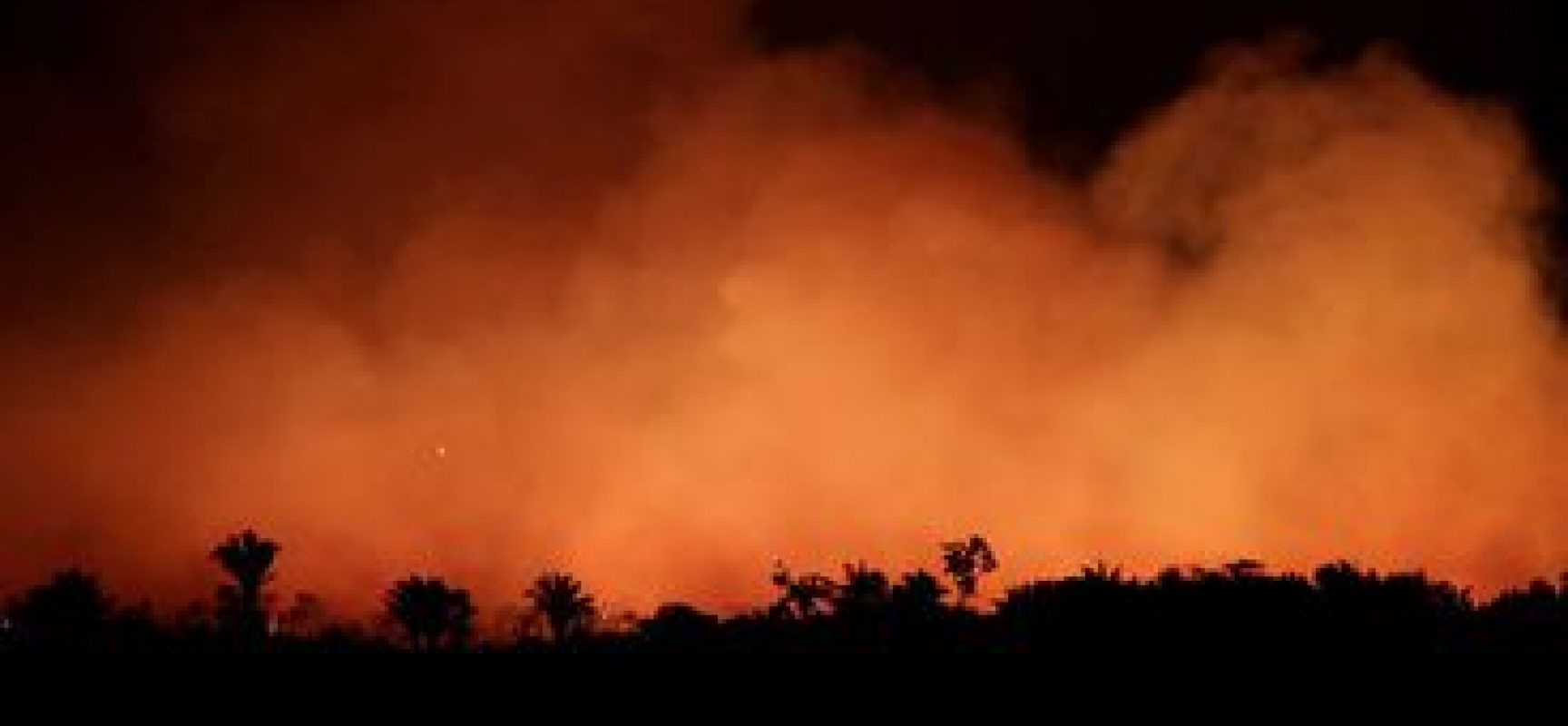 Brigadistas são presos suspeitos de incêndios em Alter do Chão