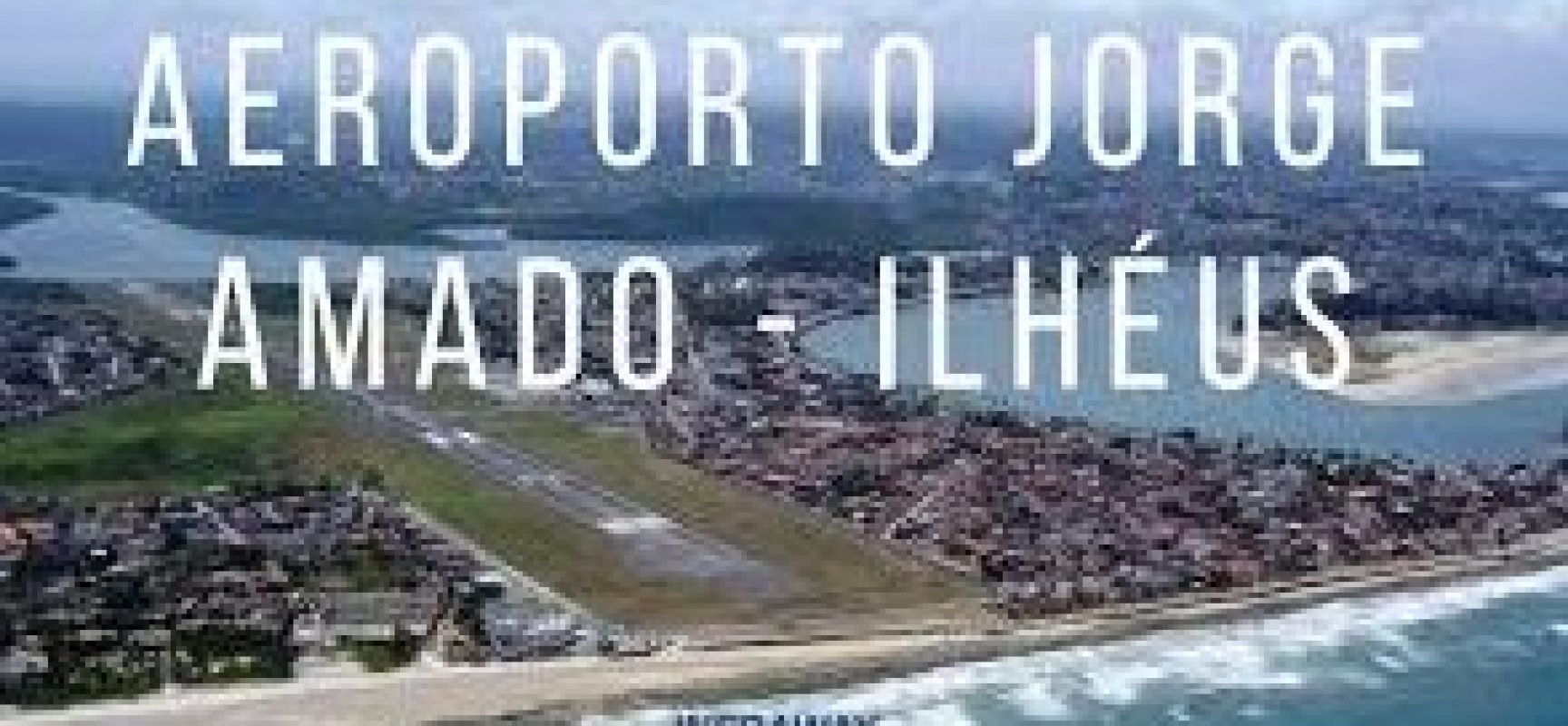 Segurança aprova presença de cães farejadores na segurança de aeroportos