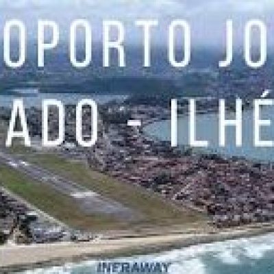 Segurança aprova presença de cães farejadores na segurança de aeroportos