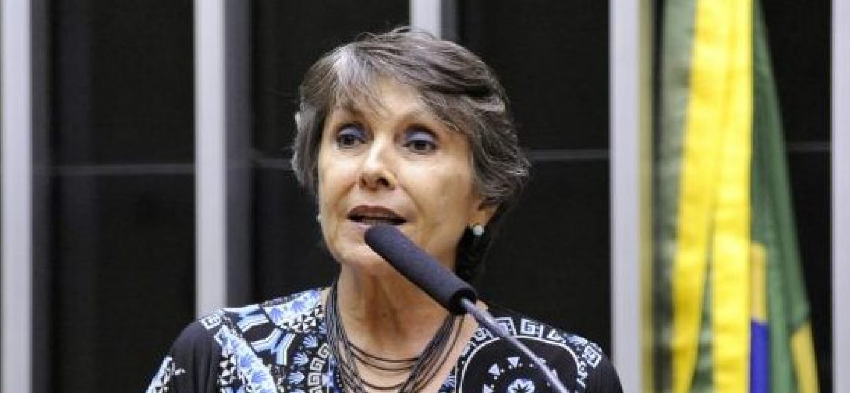 Câmara aprova projeto que valida carteira da polícia legislativa em todo o País