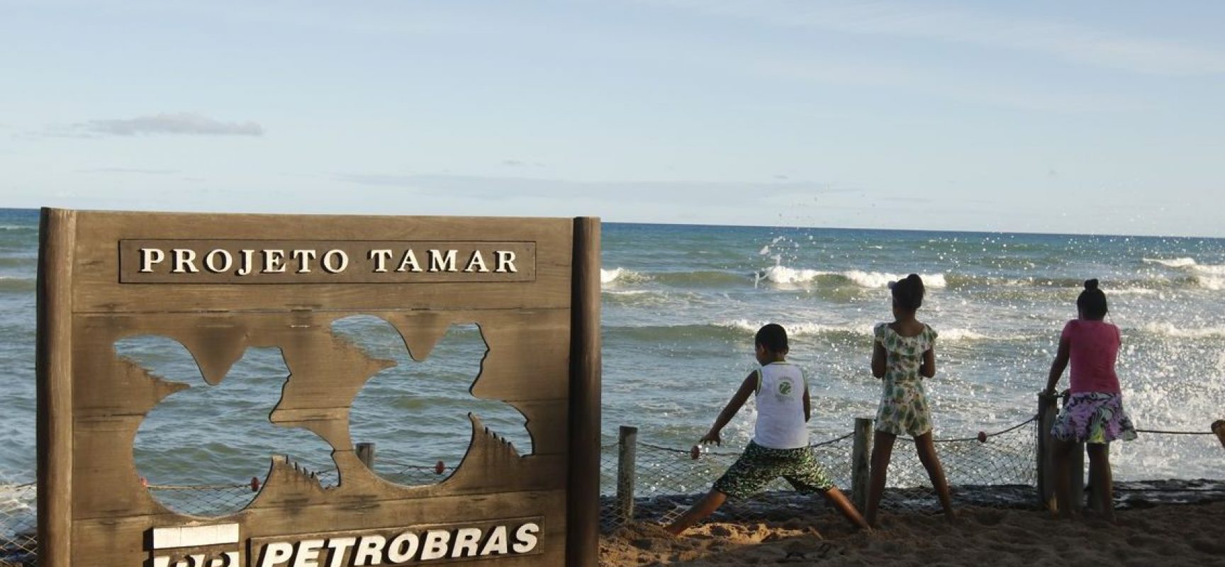 Tamar comemora 40 anos com 40 milhões de tartarugas soltas