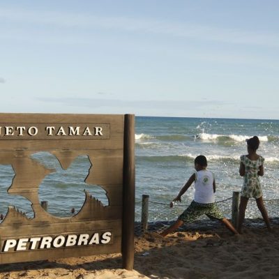 Tamar comemora 40 anos com 40 milhões de tartarugas soltas