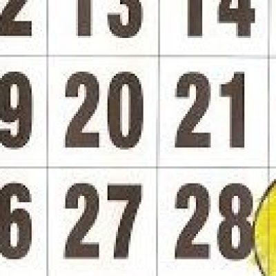 Ano bissexto: nascimento no dia 29 exige registro na data certa