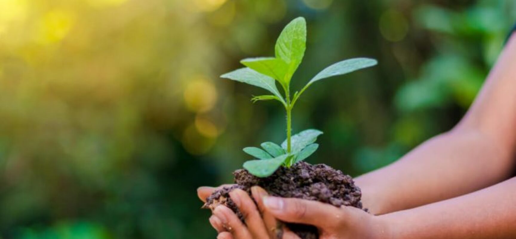 Para 93% dos consumidores brasileiros, marcas com embalagens ambientalmente responsáveis influenciam a decisão de compra