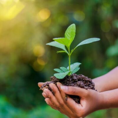 Para 93% dos consumidores brasileiros, marcas com embalagens ambientalmente responsáveis influenciam a decisão de compra