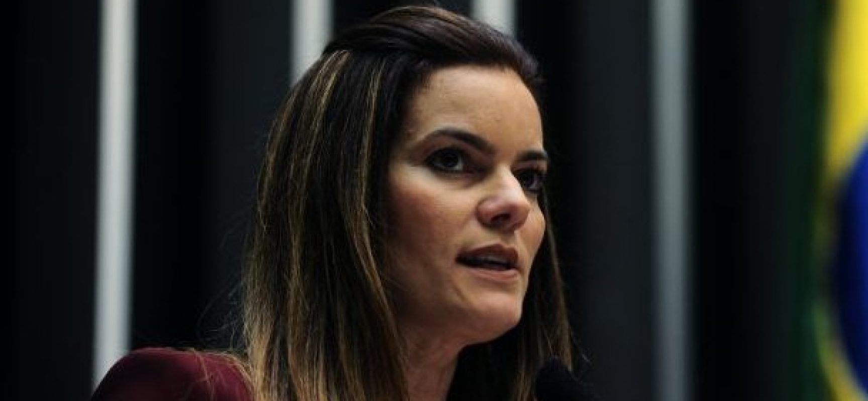 Projeto revoga a Lei de Alienação Parental