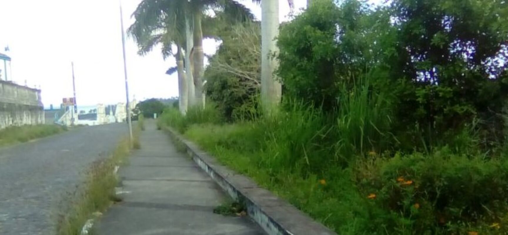 VICE-PRESIDENTE LUIZ CARLOS ESCUTA SOLICITA PAVIMENTAÇÃO ALFÁLTICA DA RUA TERESÓPOLIS E LADEIRA DA VITÓRIA