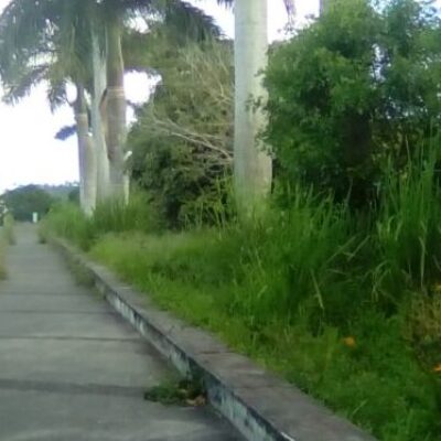 VICE-PRESIDENTE LUIZ CARLOS ESCUTA SOLICITA PAVIMENTAÇÃO ALFÁLTICA DA RUA TERESÓPOLIS E LADEIRA DA VITÓRIA