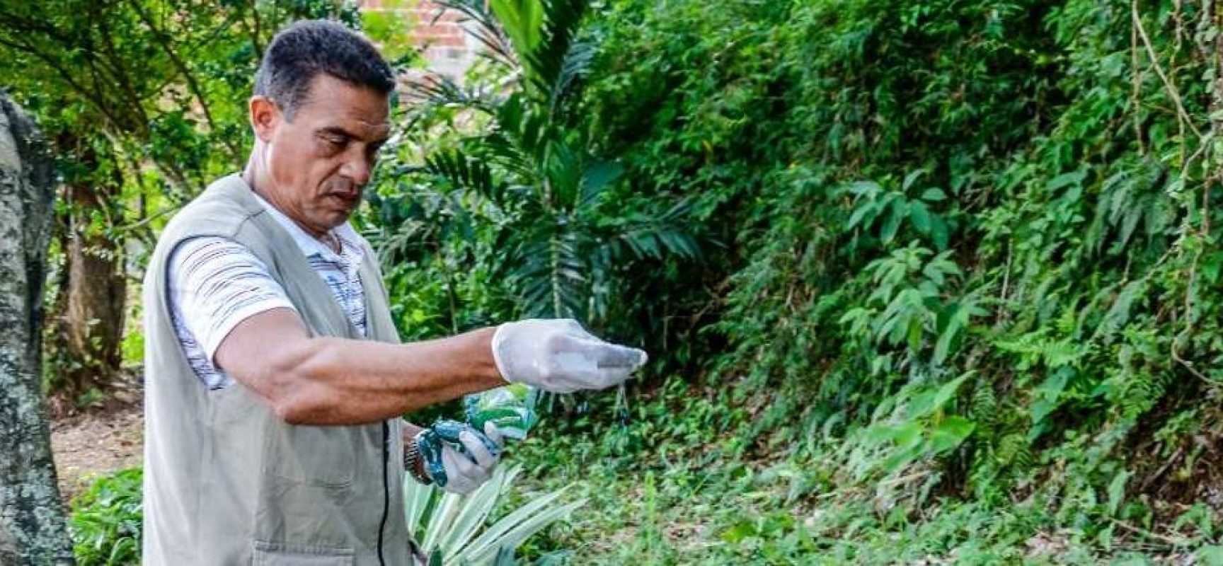 Centro de Controle de Zoonoses informa sobre combate aos caramujos africanos