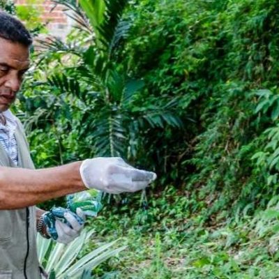 Centro de Controle de Zoonoses informa sobre combate aos caramujos africanos