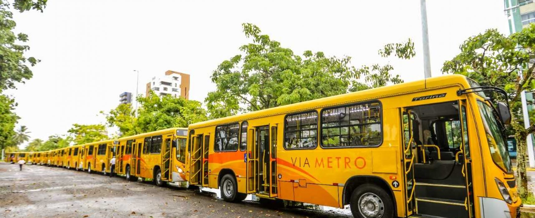 Viametro antecipa a entrega de 10 novos ônibus para a cidade de Ilhéus