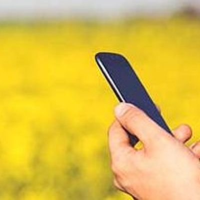 Telefonia 4G: Banco do Pedro e Inema terão sinal ativado até junho de 2021