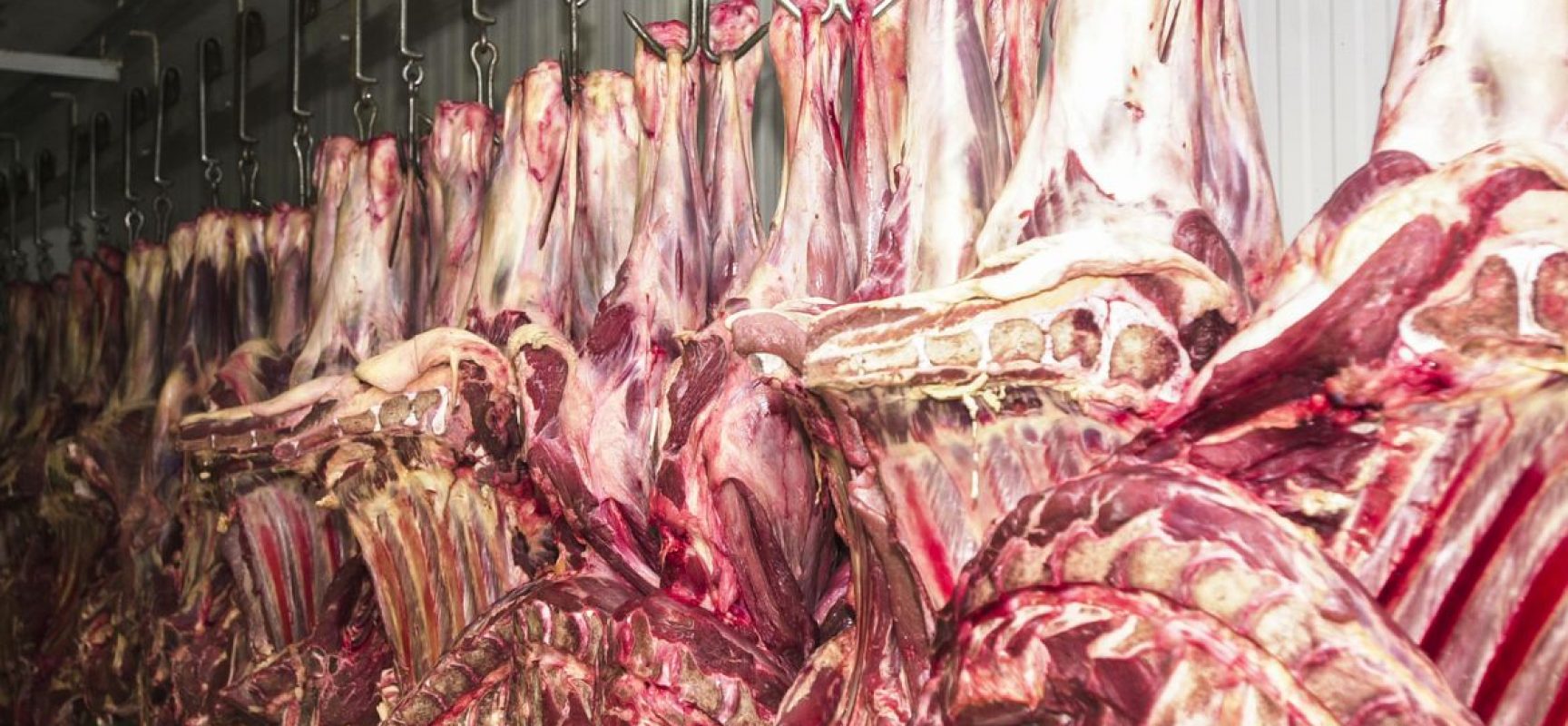 Brasil vai exportar carne bovina para a Tailândia