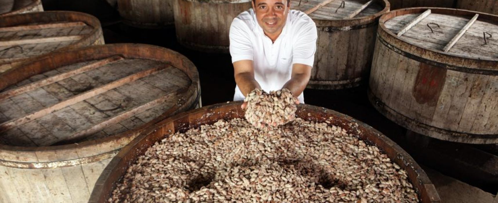 Colecionador de prêmios, cacauicultor João Tavares participa de live do Chocolat Festival