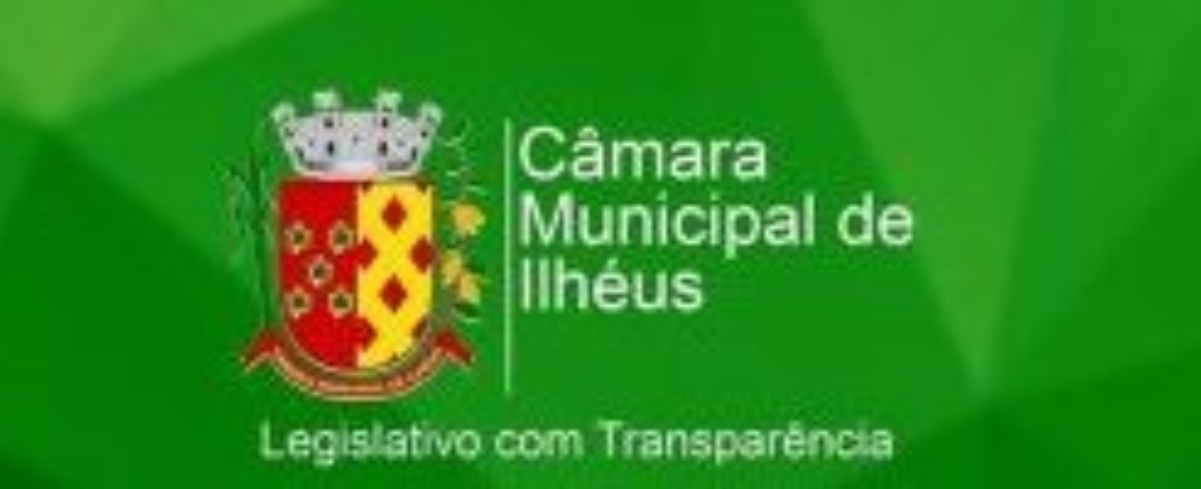 Câmara mantém trabalho remoto e atos telepresenciais