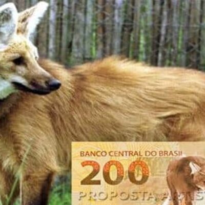 BC INFORMA QUE CÉDULA DE R$ 200 COMEÇA A CIRCULAR NESTA QUARTA (2)