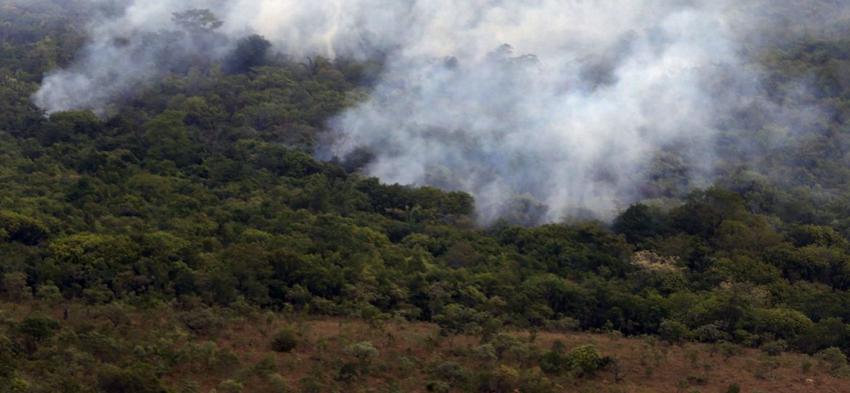 Decreto proíbe queimadas em todo o Brasil por 120 dias