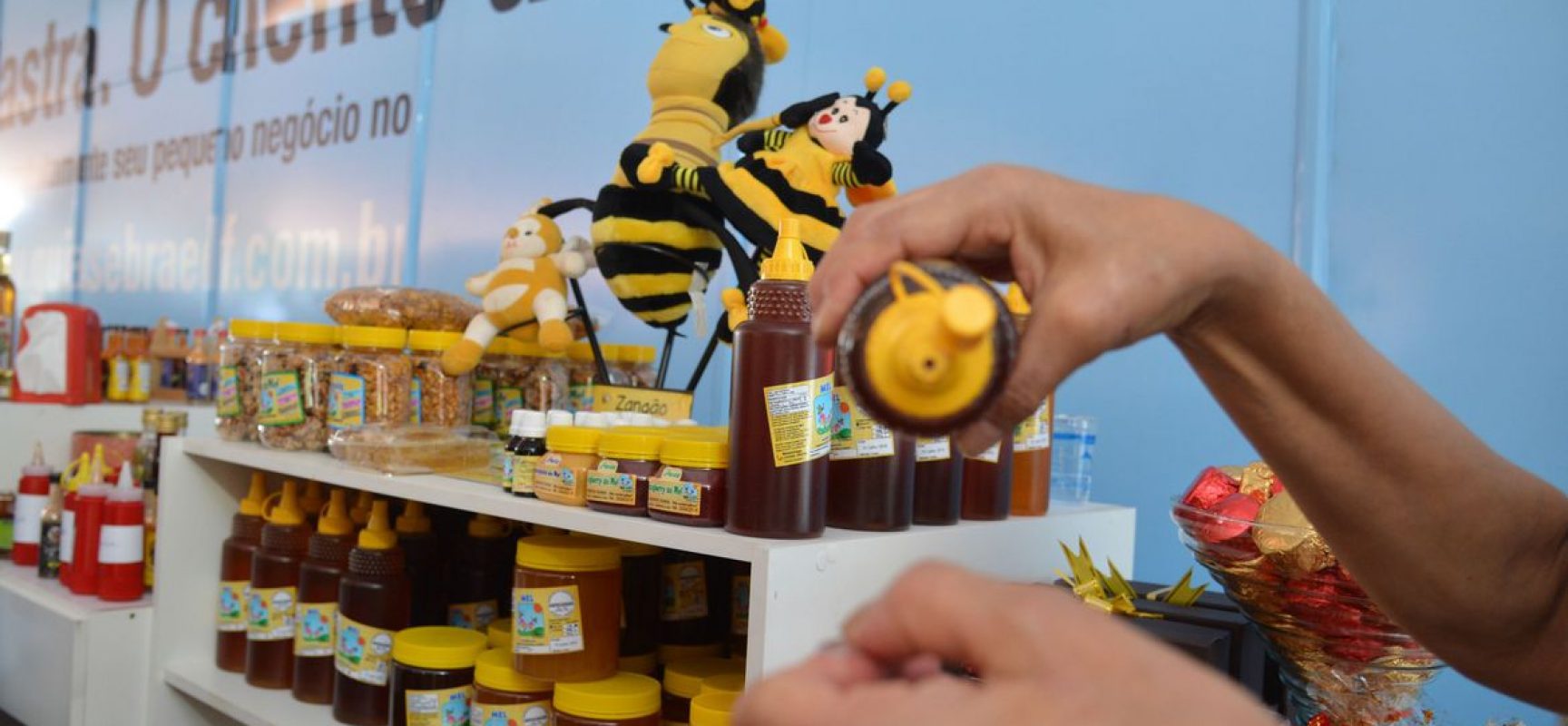 Planejamento e pesquisa ajudam microempresa a ter crédito na pandemia