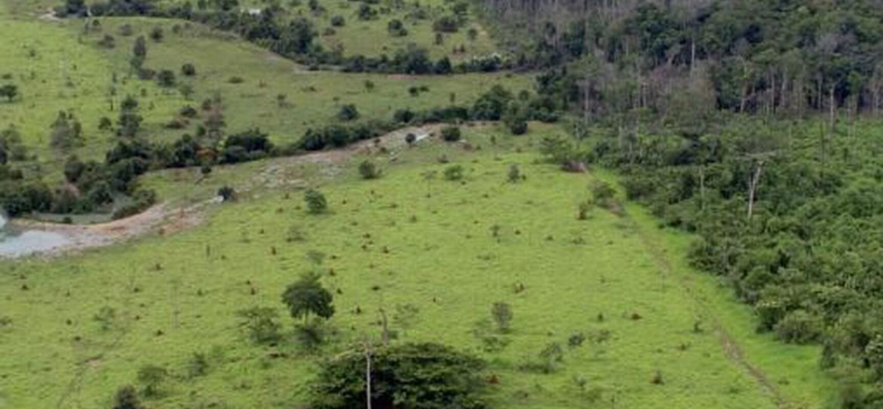 Começa emissão do Certificado de Cadastro de Imóvel Rural