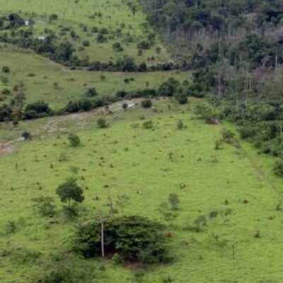 Começa emissão do Certificado de Cadastro de Imóvel Rural