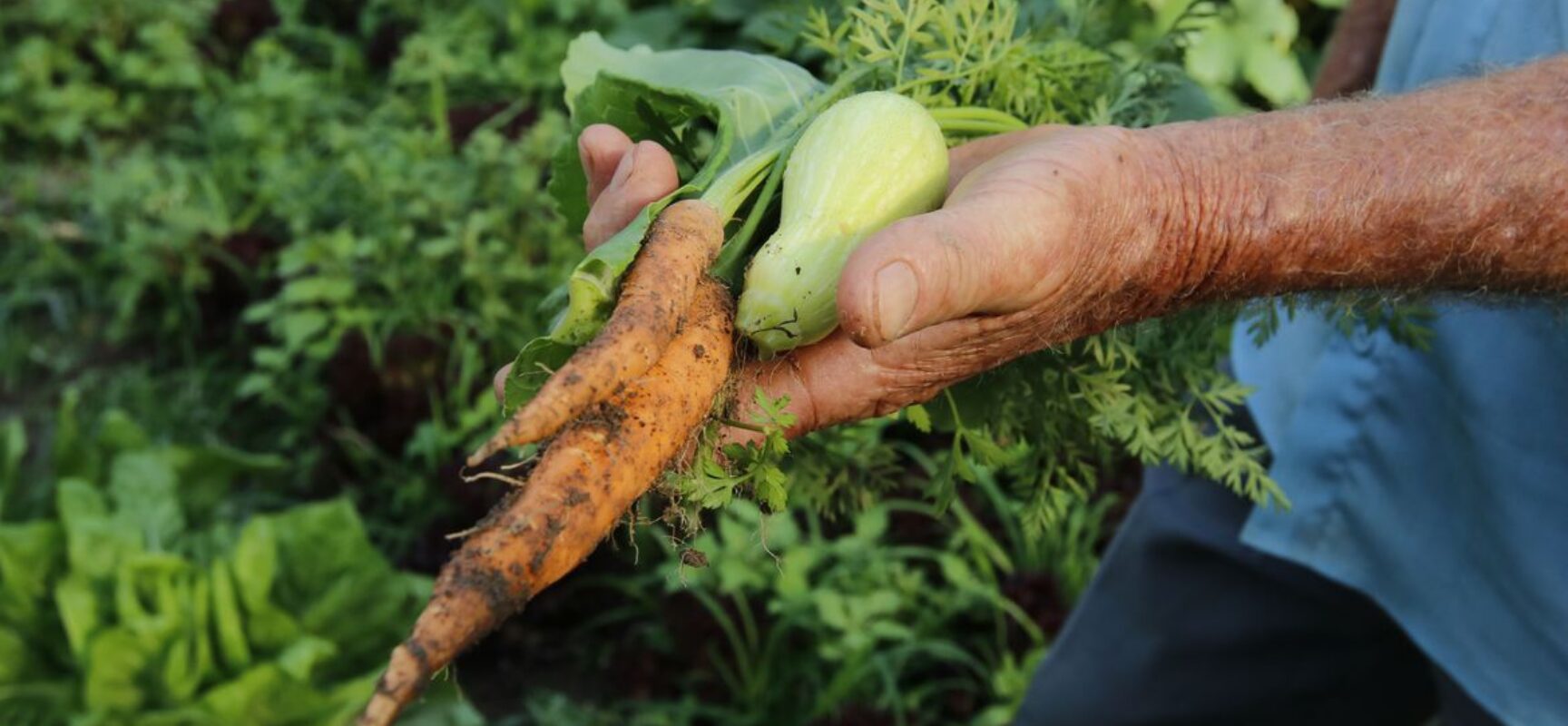 Governo repassa R$ 72,9 milhões a estados para a agricultura familiar