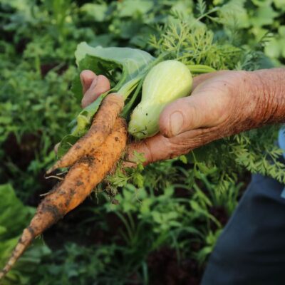 Governo repassa R$ 72,9 milhões a estados para a agricultura familiar