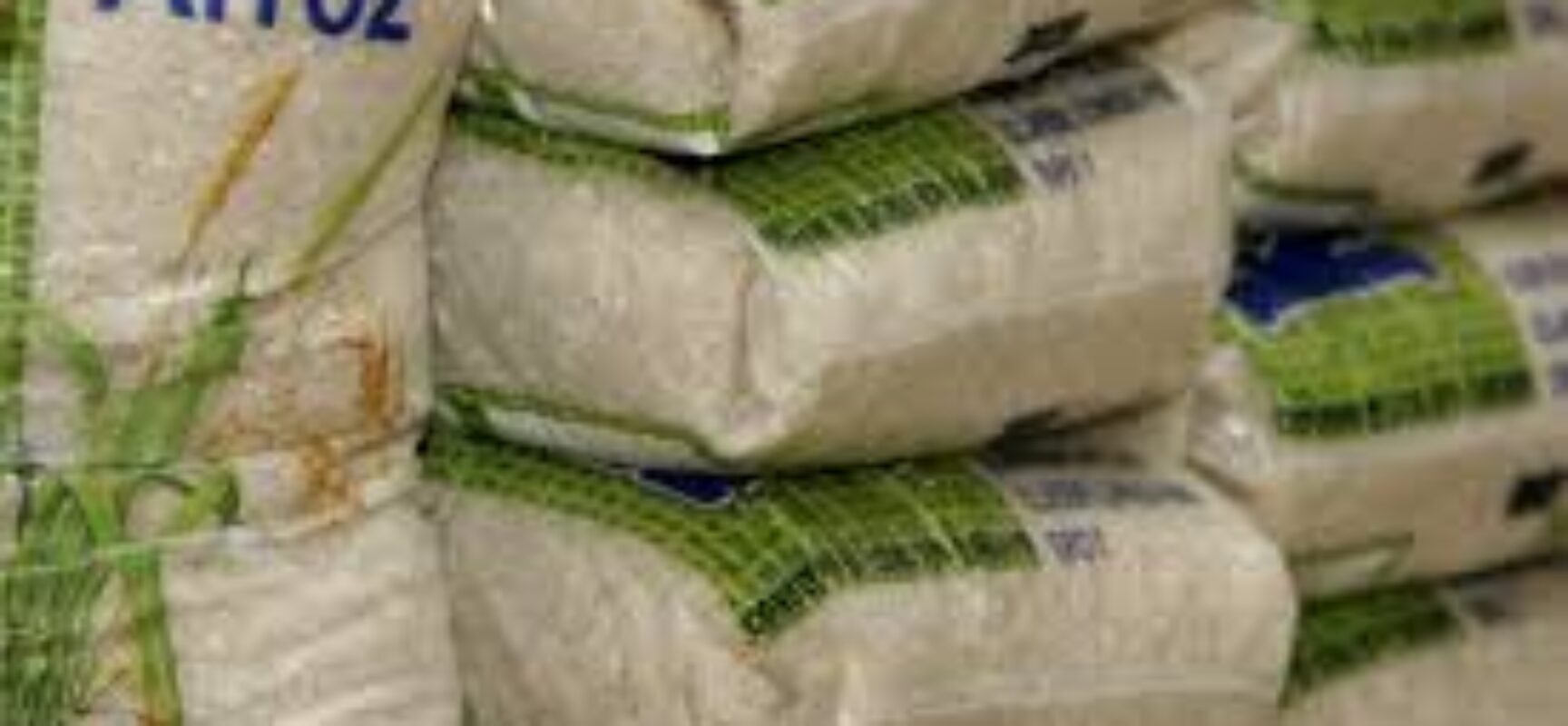 Importação de arroz pelo Brasil dispara no acumulado de setembro