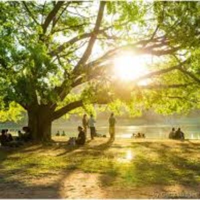 Brasil lança programa de incentivo à preservação ambiental