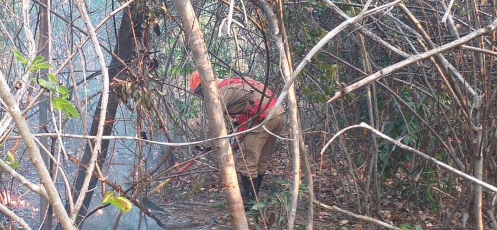 Incêndio na Chapada dos Veadeiros é extinto após cerca de duas semanas