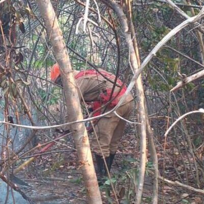Incêndio na Chapada dos Veadeiros é extinto após cerca de duas semanas