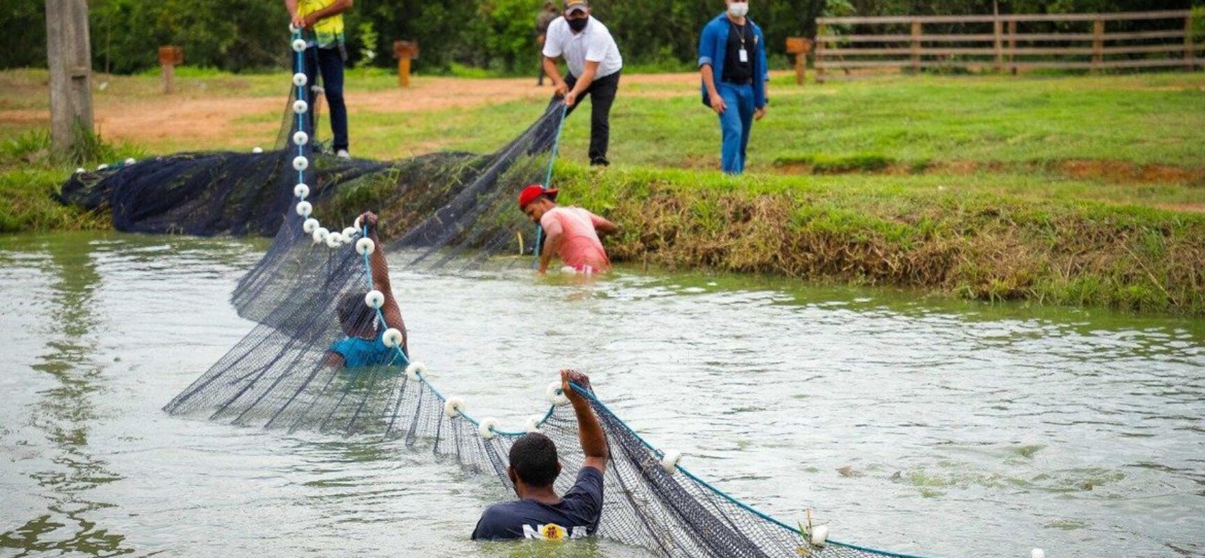 Missão diplomática visita área de regularização fundiária na Amazônia