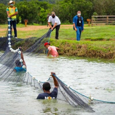 Missão diplomática visita área de regularização fundiária na Amazônia