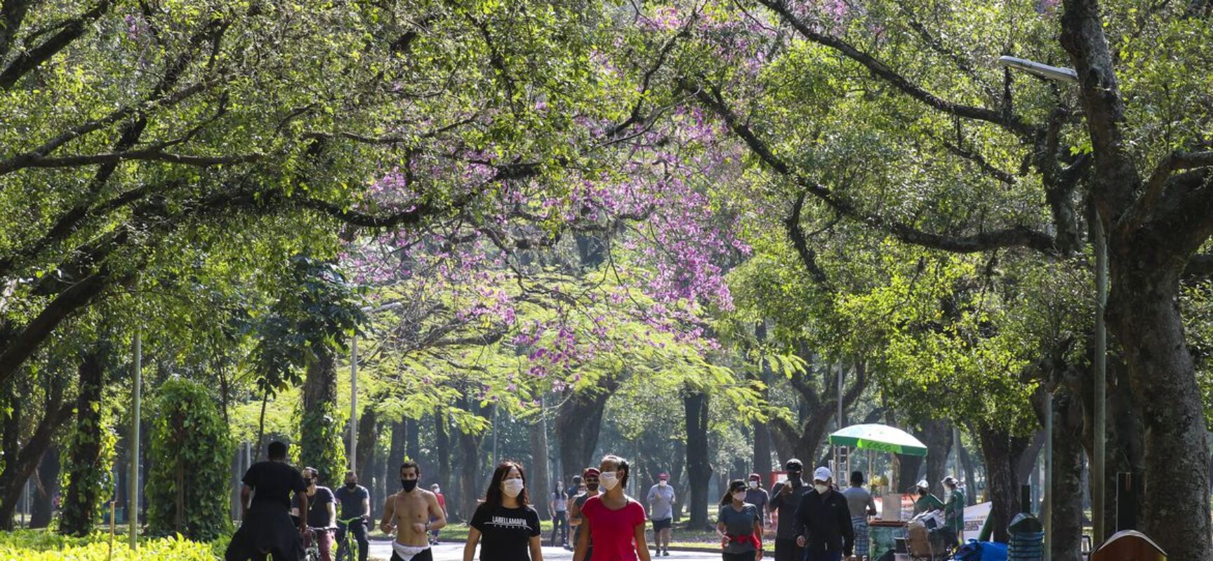 Plataformas orientam eleitores e prefeitos sobre agenda ambiental