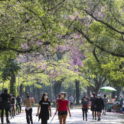 Plataformas orientam eleitores e prefeitos sobre agenda ambiental