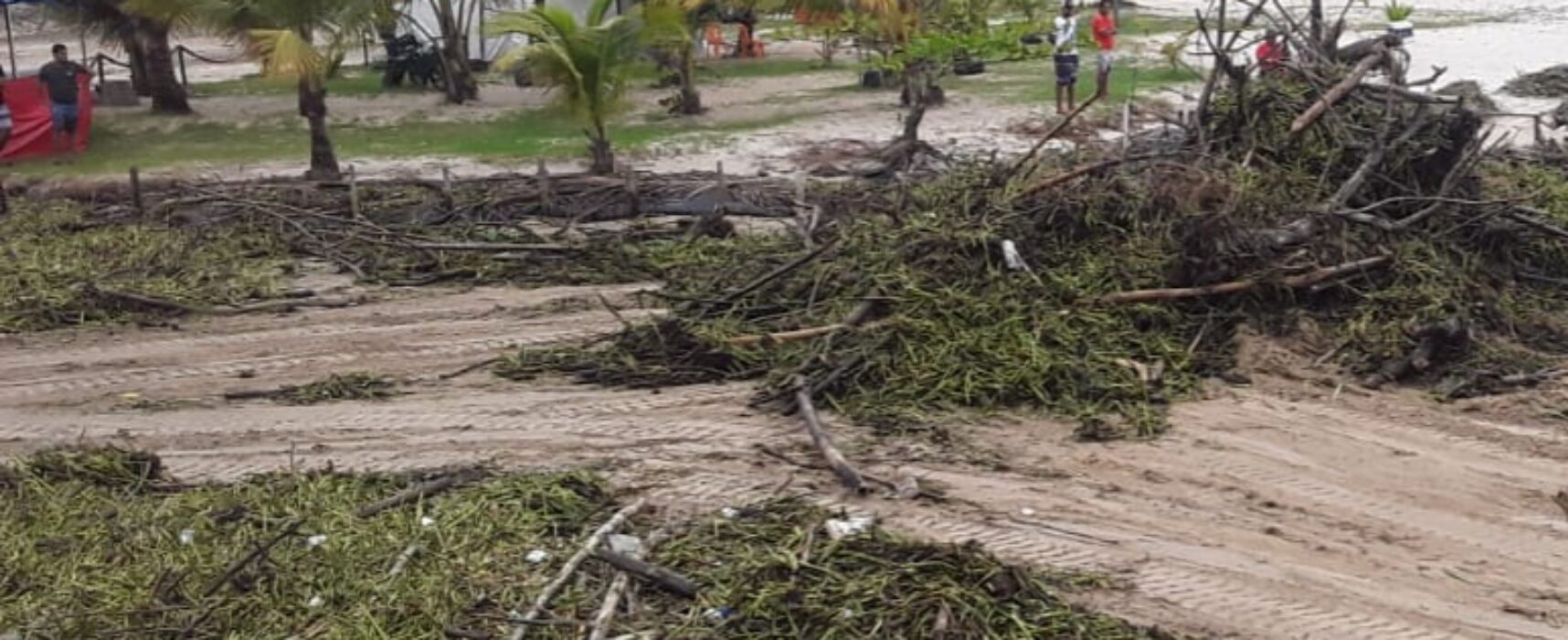 Prefeitura de Ilhéus intensifica limpeza das praias para retirada de baronesas