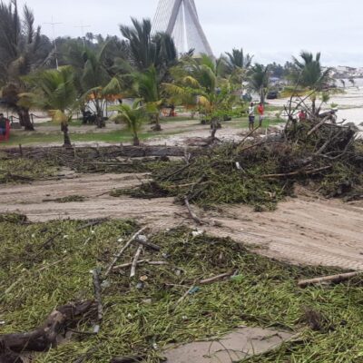 Prefeitura de Ilhéus intensifica limpeza das praias para retirada de baronesas