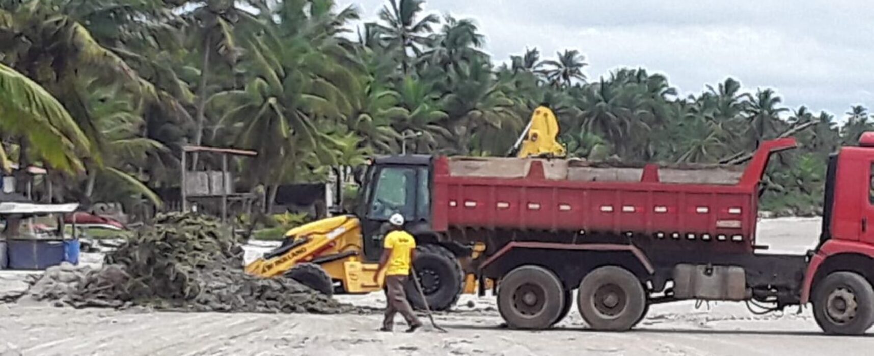 Prefeitura realiza mutirão de limpeza para retirada de baronesas nas praias de Ilhéus