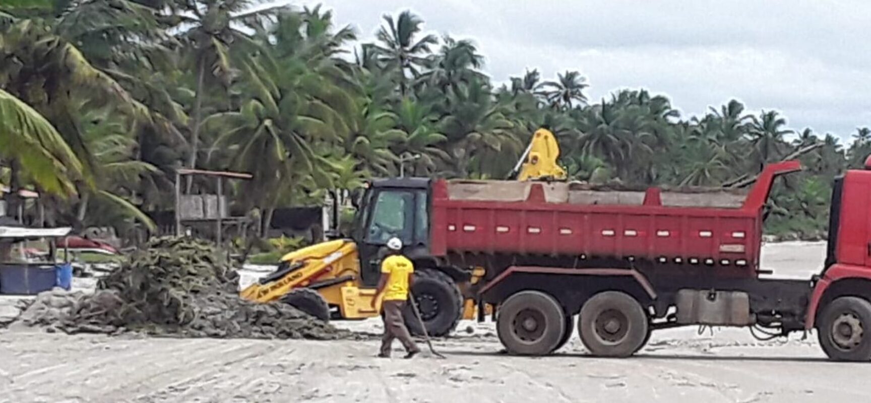 Prefeitura realiza mutirão de limpeza para retirada de baronesas nas praias de Ilhéus