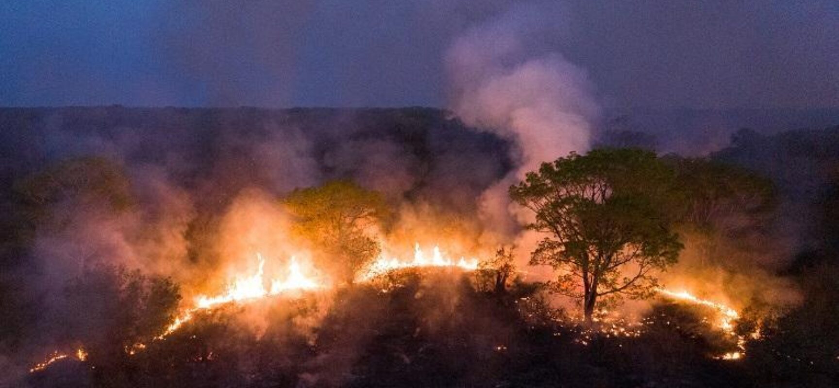Retrospectiva Ambiental 2020