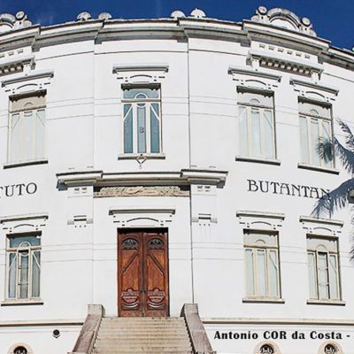 Enfermeira de São Paulo é primeira brasileira vacinada contra covid-19