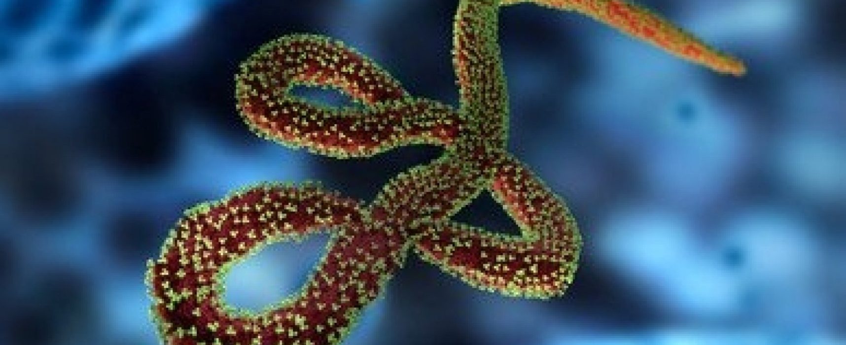 Novo caso do vírus ebola mata uma pessoa no Congo
