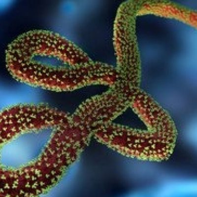 Novo caso do vírus ebola mata uma pessoa no Congo