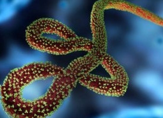 Novo caso do vírus ebola mata uma pessoa no Congo